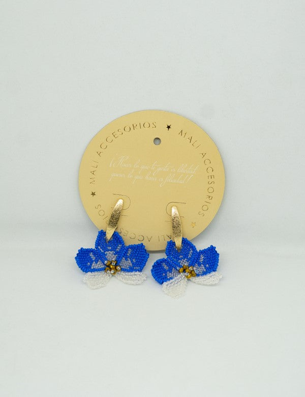 Aretes Azul